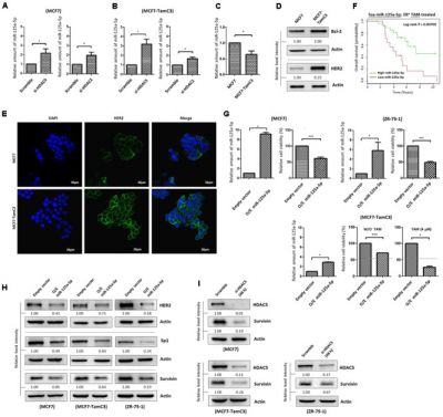 HDAC2 and HDAC5 Up-Regulations Modulate Survivin and miR-125a-5p Expressions and Promote Hormone Therapy Resistance in Estrogen Receptor Positive Breast Cancer Cells.