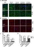 NADPH Oxidase 2 as a Potential Therapeutic Target for Protection Against Cognitive Deficits Following Systemic Inflammation in Mice