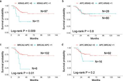 Sequential and co-occurring DNA damage response genetic mutations impact survival in stage III colorectal cancer patients receiving adjuvant oxaliplatin-based chemotherapy