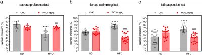 Pioglitazone rescues high-fat diet-induced depression-like phenotypes and hippocampal astrocytic deficits in mice